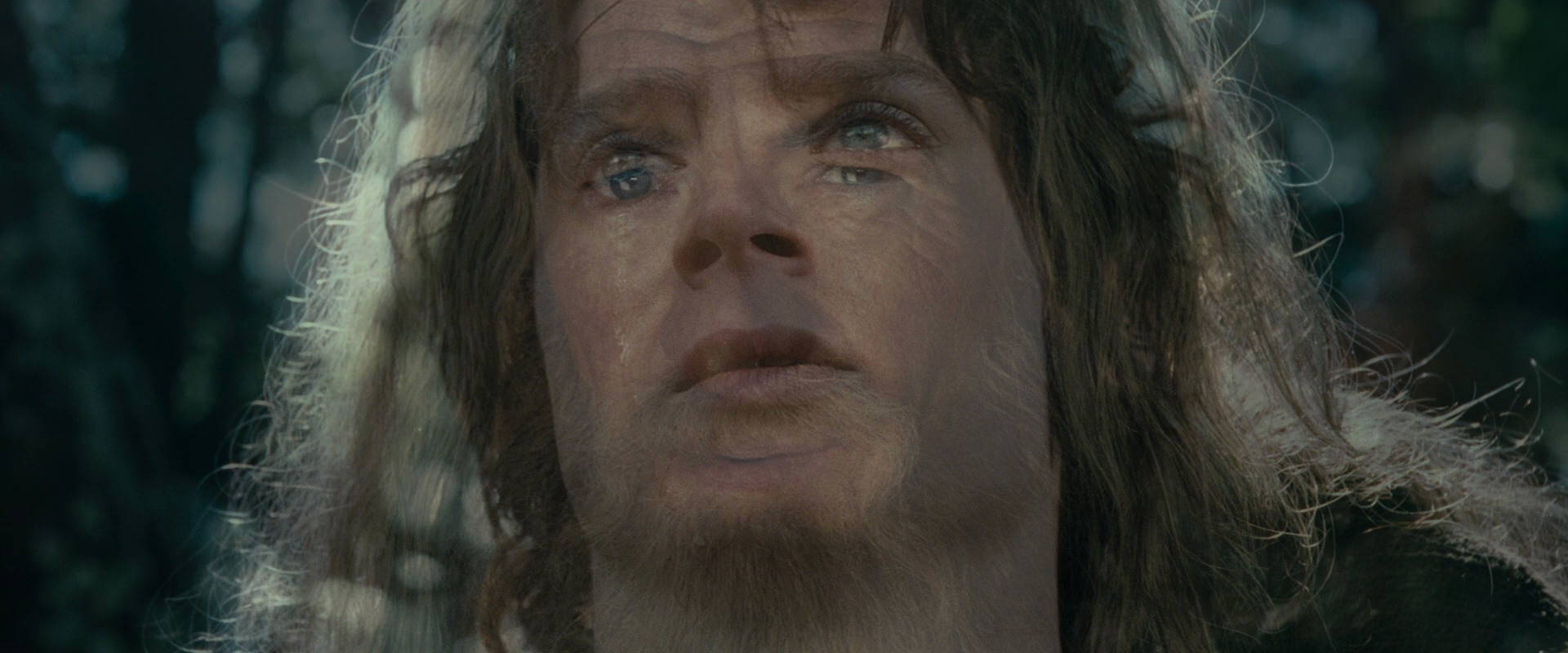 The Lord of the Rings: The Fellowship of the Ring (2001) screencap 23190