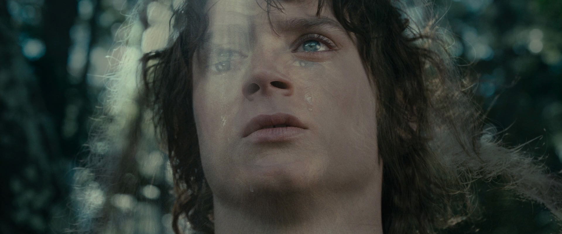 The Lord of the Rings: The Fellowship of the Ring (2001) movie still 23191