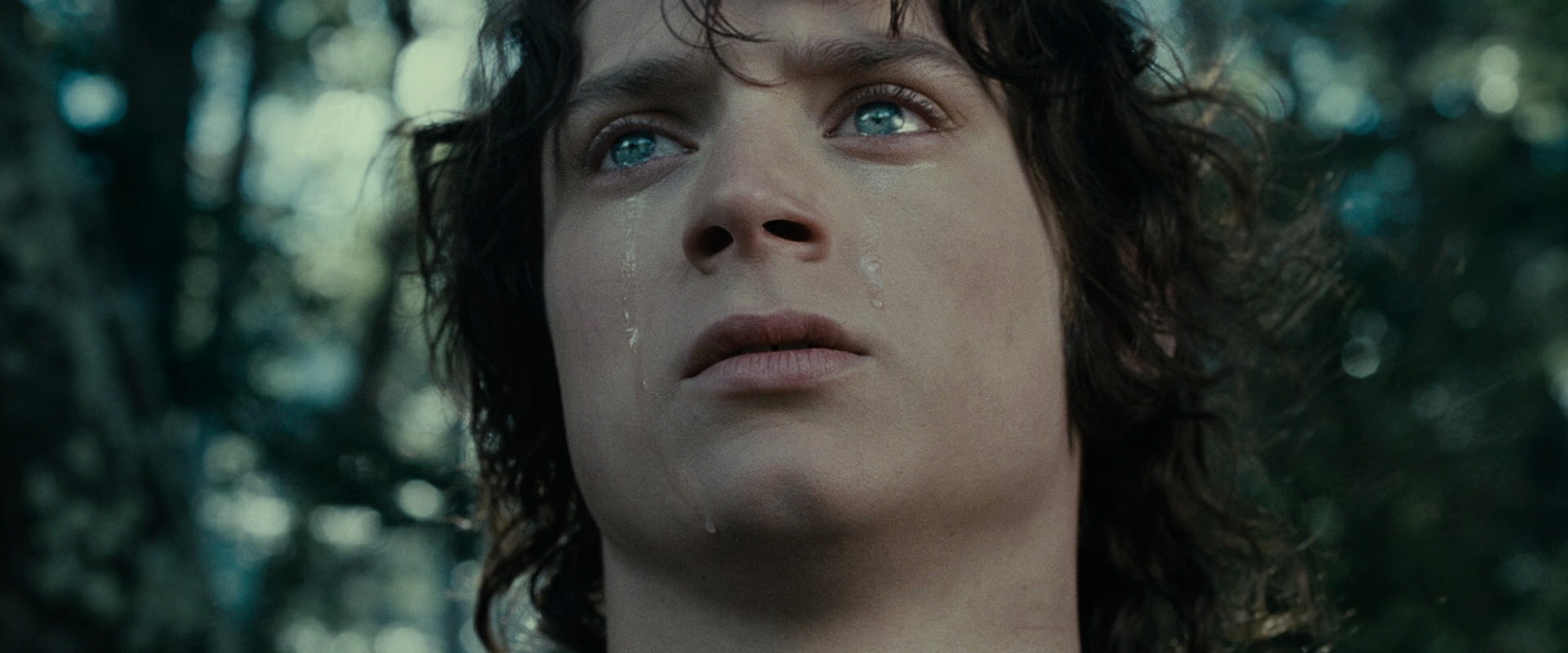 The Lord of the Rings: The Fellowship of the Ring (2001) HD screenshot 23192