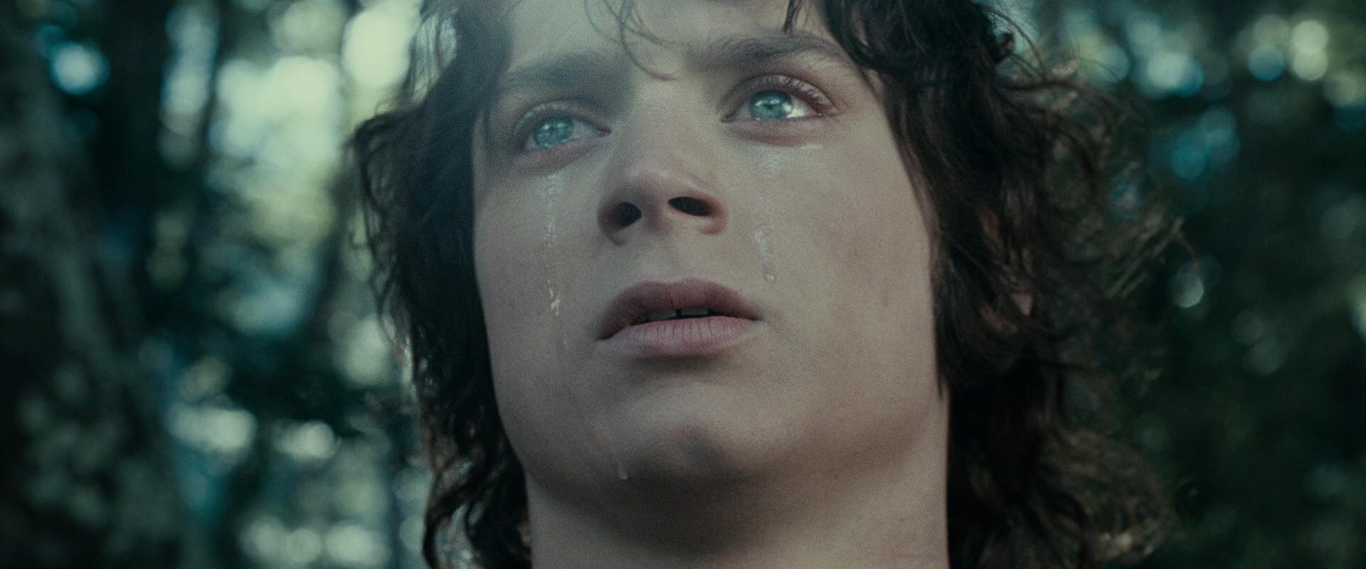 The Lord of the Rings: The Fellowship of the Ring (2001) screencap 23193