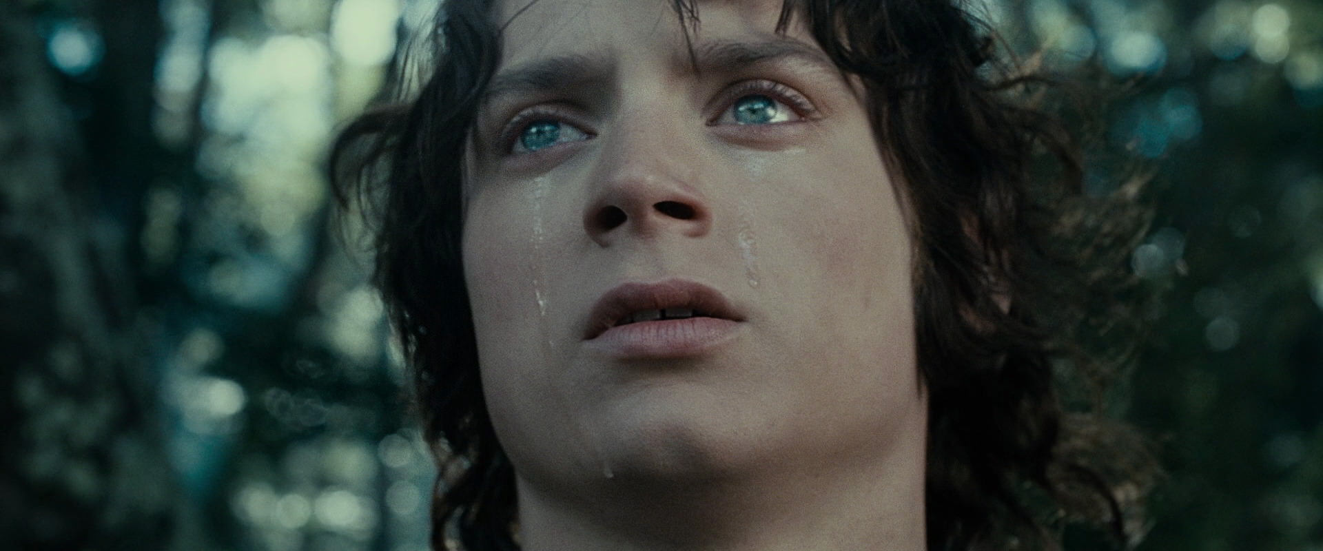 The Lord of the Rings: The Fellowship of the Ring (2001) movie still 23194