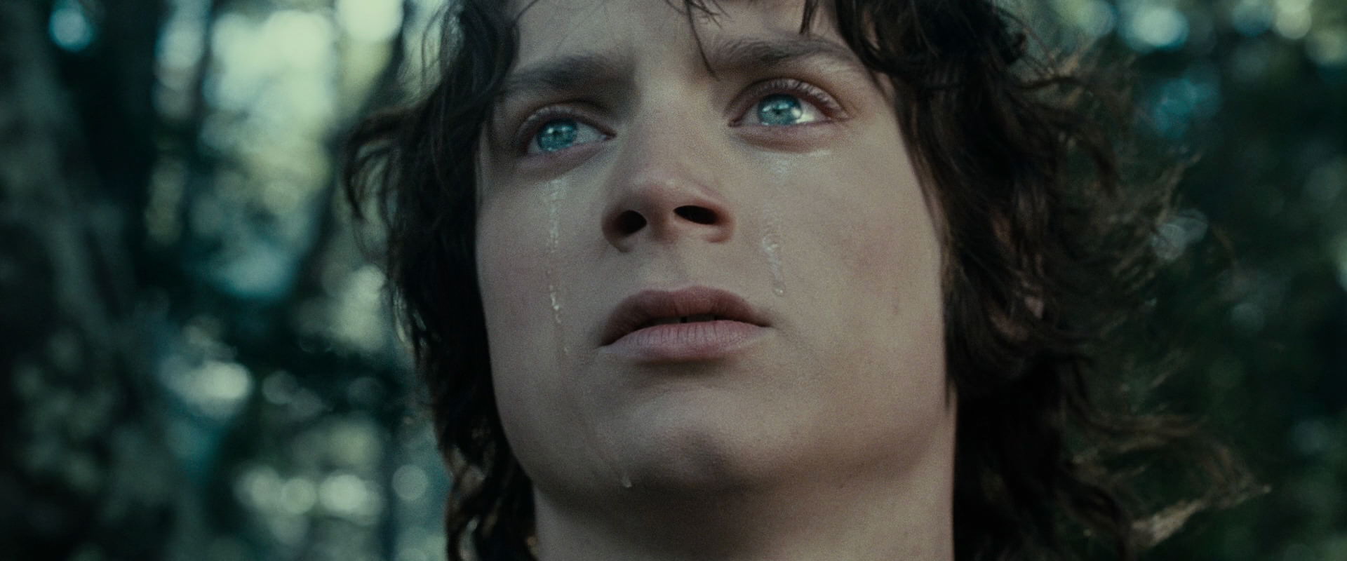 The Lord of the Rings: The Fellowship of the Ring (2001) HD screenshot 23195