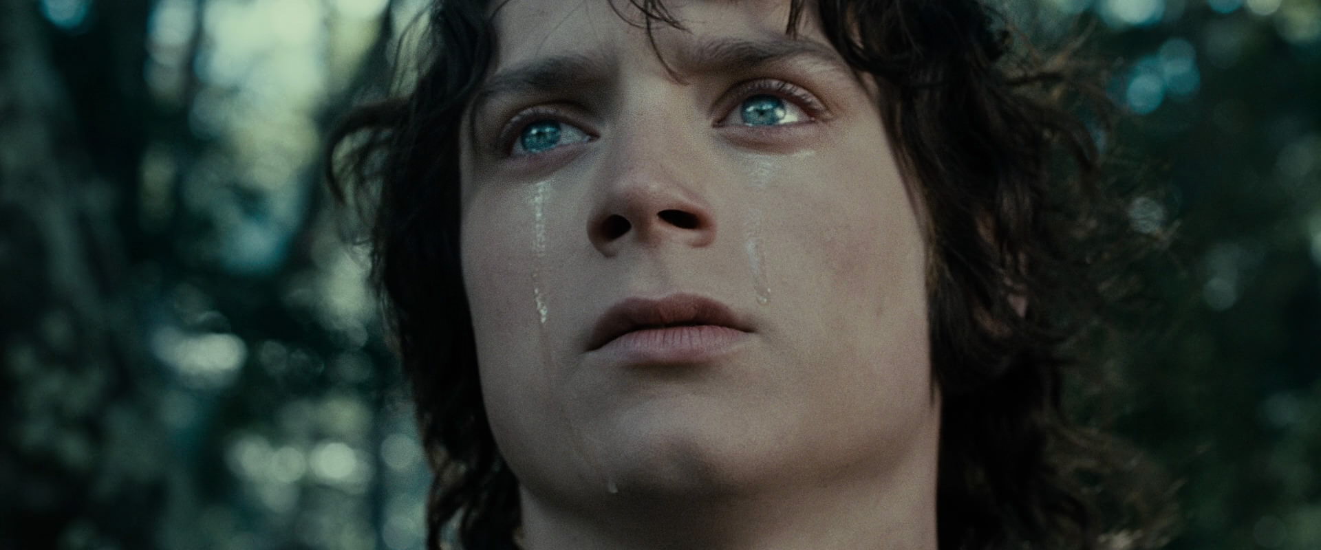 The Lord of the Rings: The Fellowship of the Ring (2001) screencap 23196