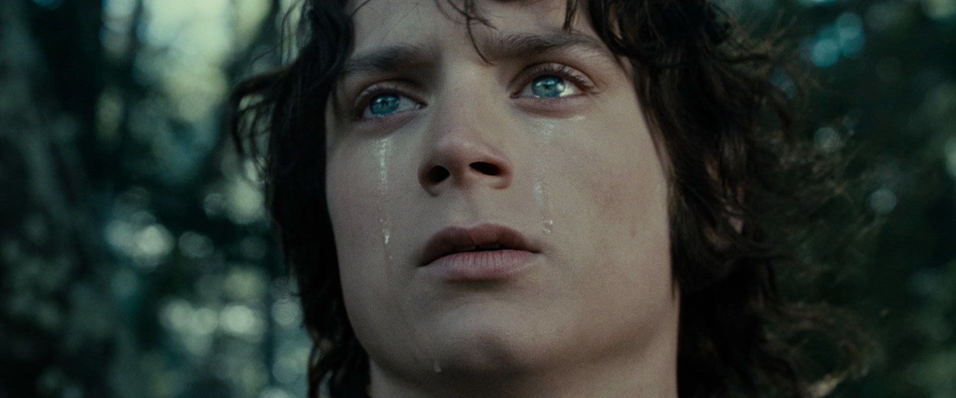 The Lord of the Rings: The Fellowship of the Ring (2001) movie still 23197