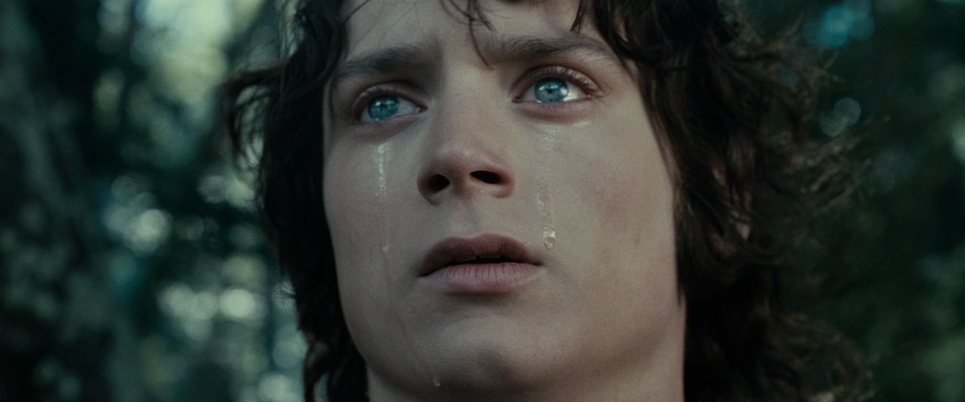The Lord of the Rings: The Fellowship of the Ring (2001) HD screenshot 23198