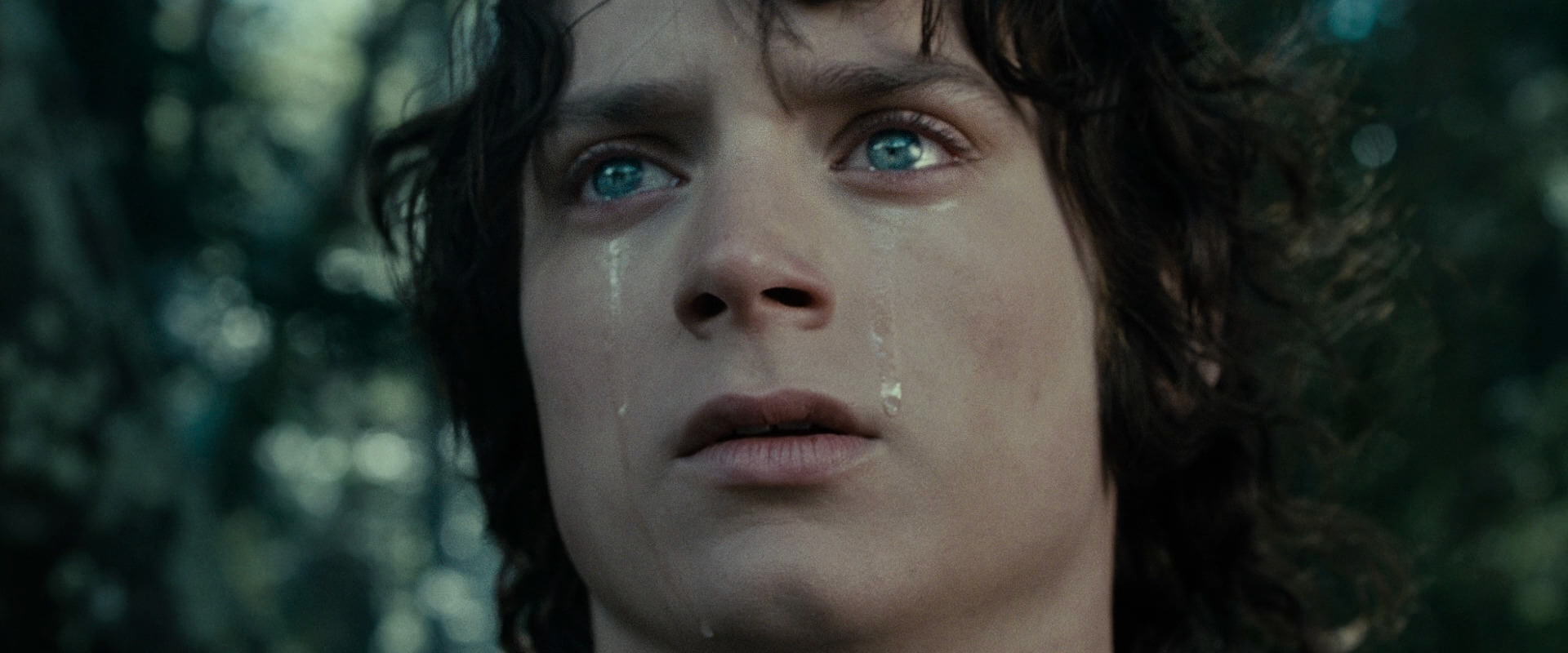The Lord of the Rings: The Fellowship of the Ring (2001) screencap 23199