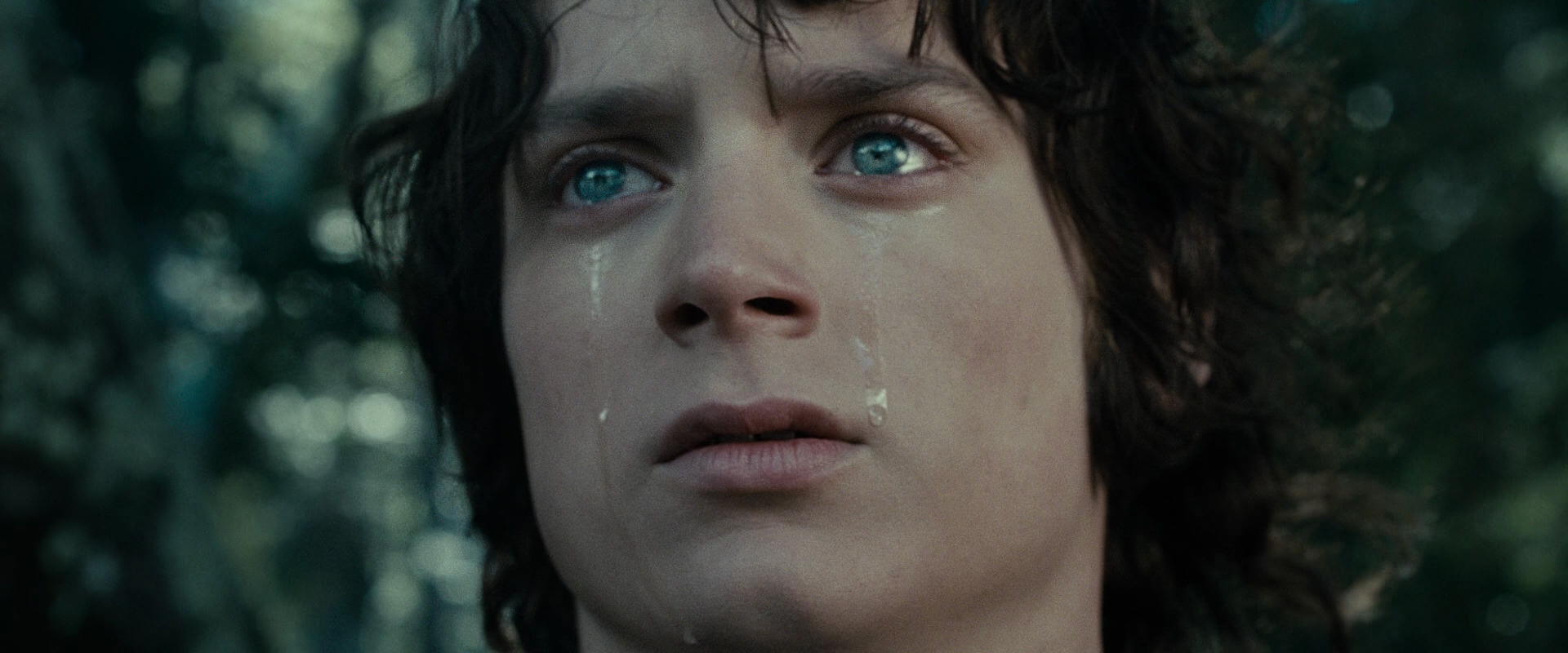 The Lord of the Rings: The Fellowship of the Ring (2001) movie still 23200