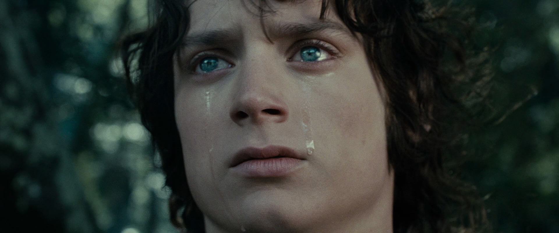 The Lord of the Rings: The Fellowship of the Ring (2001) HD screenshot 23201