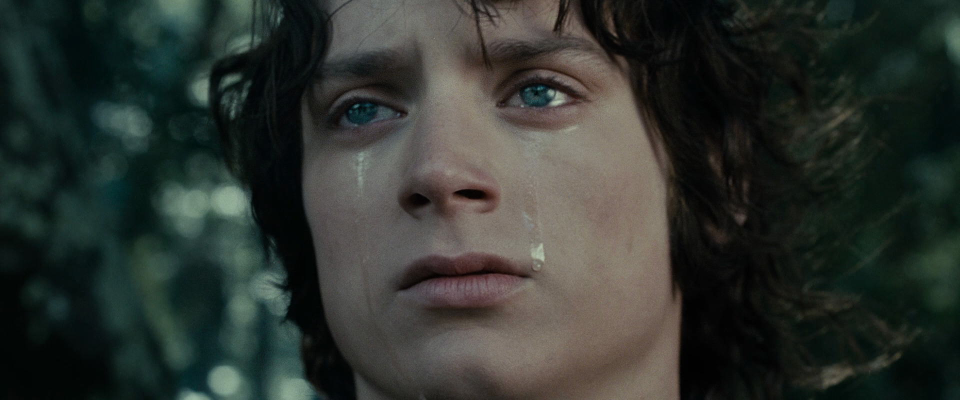 The Lord of the Rings: The Fellowship of the Ring (2001) screencap 23202