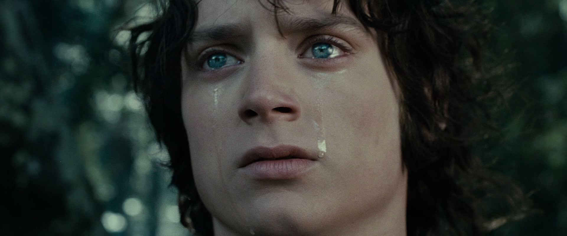 The Lord of the Rings: The Fellowship of the Ring (2001) movie still 23203
