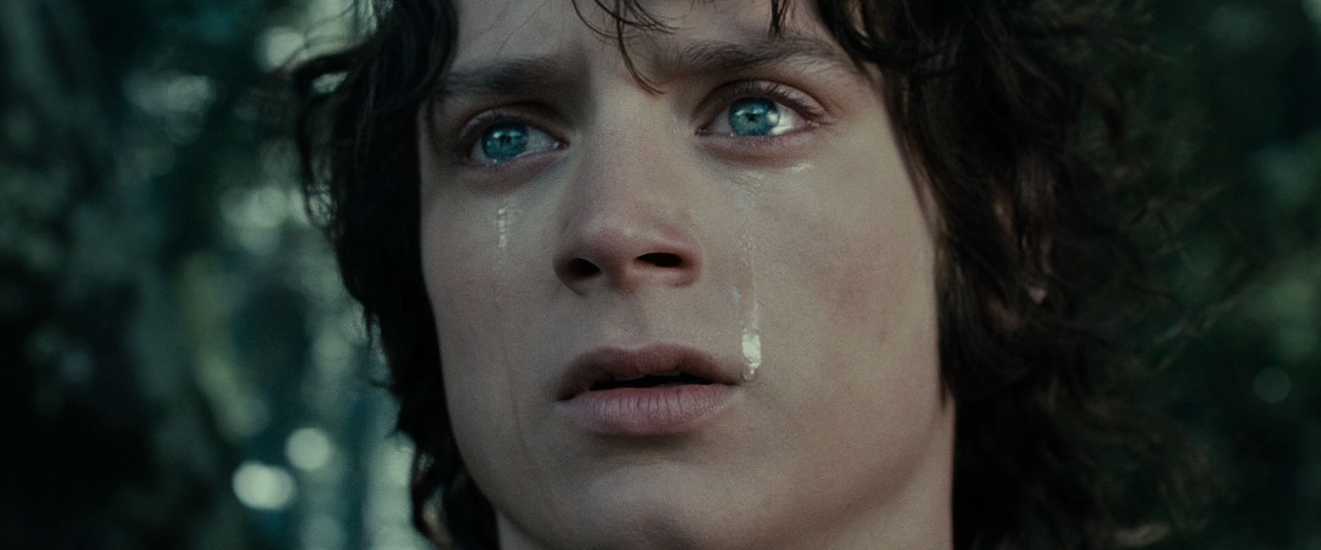 The Lord of the Rings: The Fellowship of the Ring (2001) HD screenshot 23204
