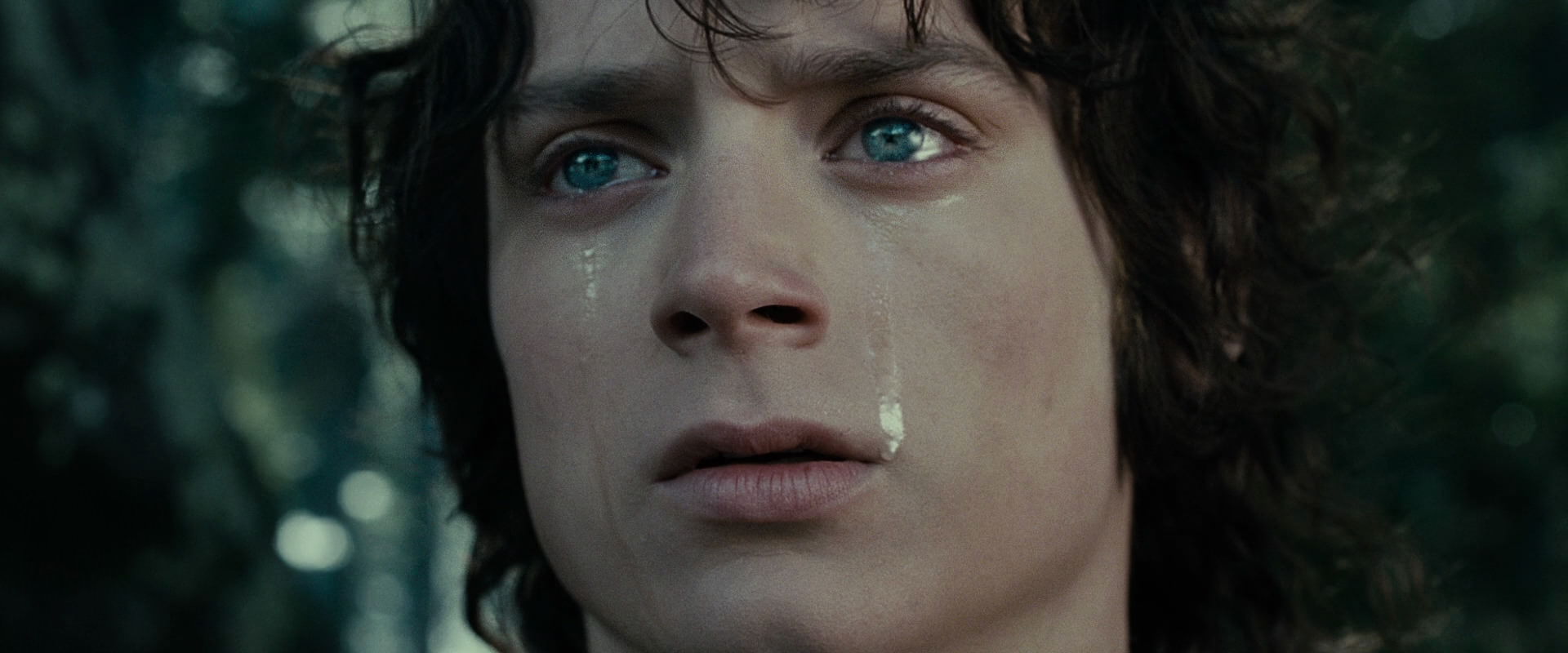 The Lord of the Rings: The Fellowship of the Ring (2001) screencap 23205