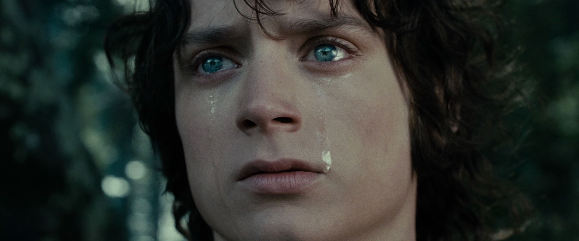 The Lord of the Rings: The Fellowship of the Ring (2001) movie still 23206