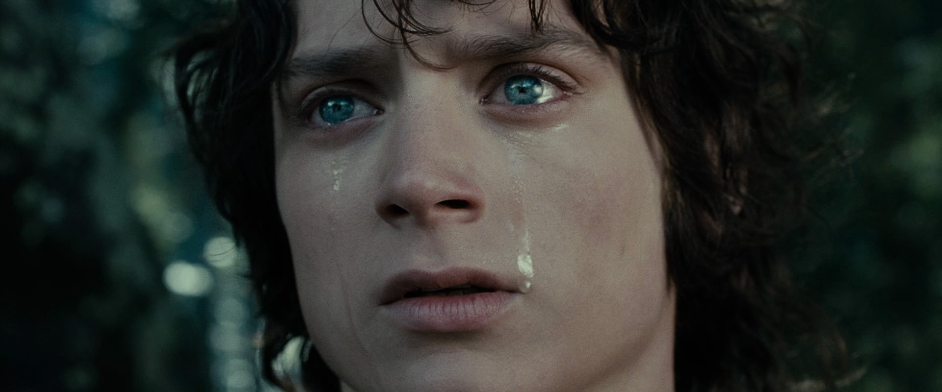 The Lord of the Rings: The Fellowship of the Ring (2001) HD screenshot 23207