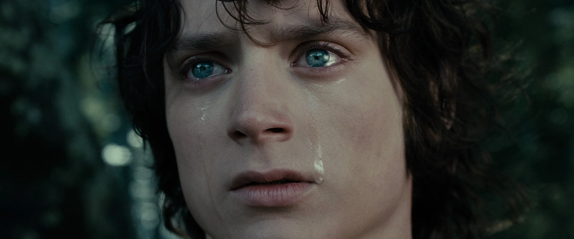 The Lord of the Rings: The Fellowship of the Ring (2001) screencap 23208