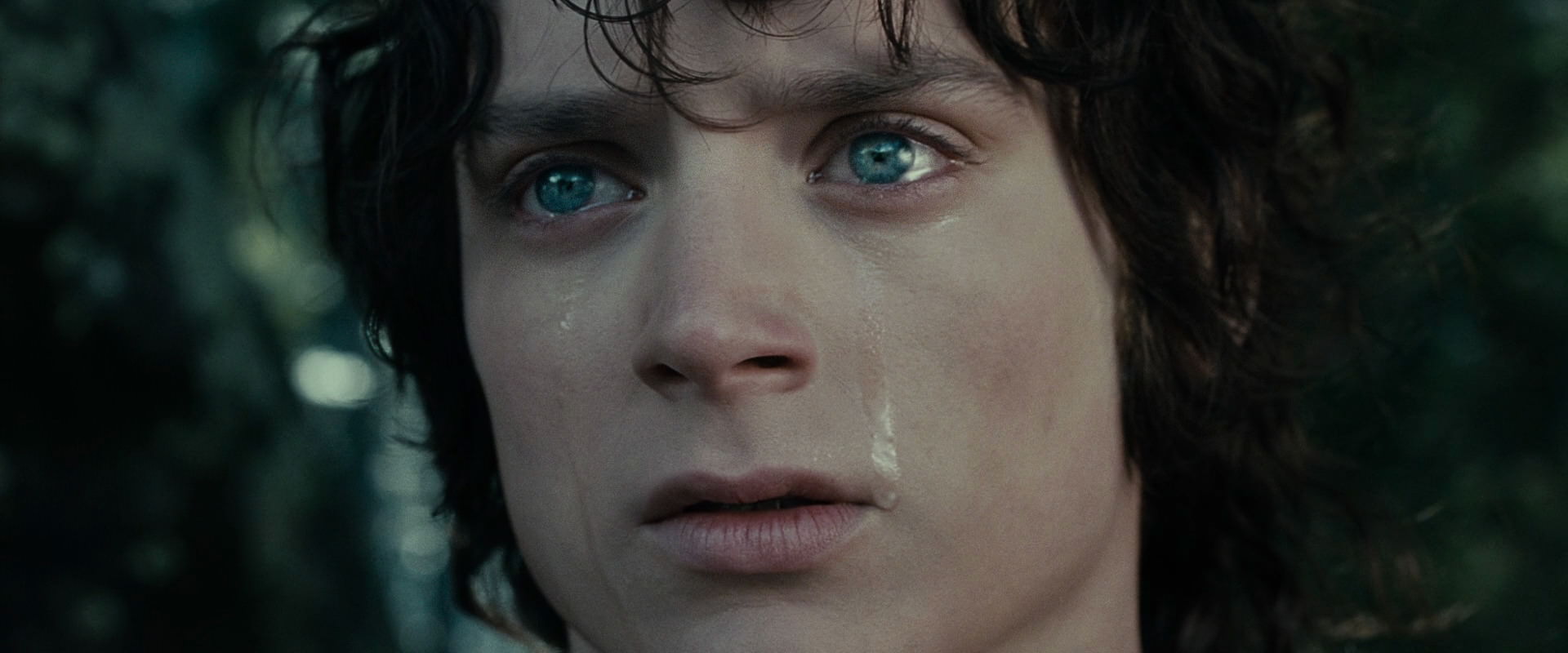 The Lord of the Rings: The Fellowship of the Ring (2001) movie still 23209