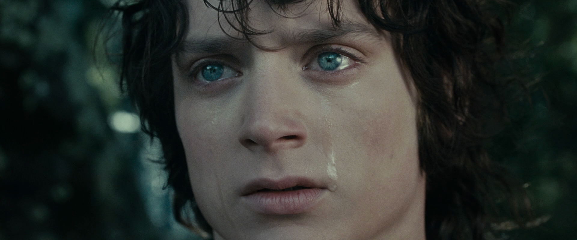 The Lord of the Rings: The Fellowship of the Ring (2001) HD screenshot 23210