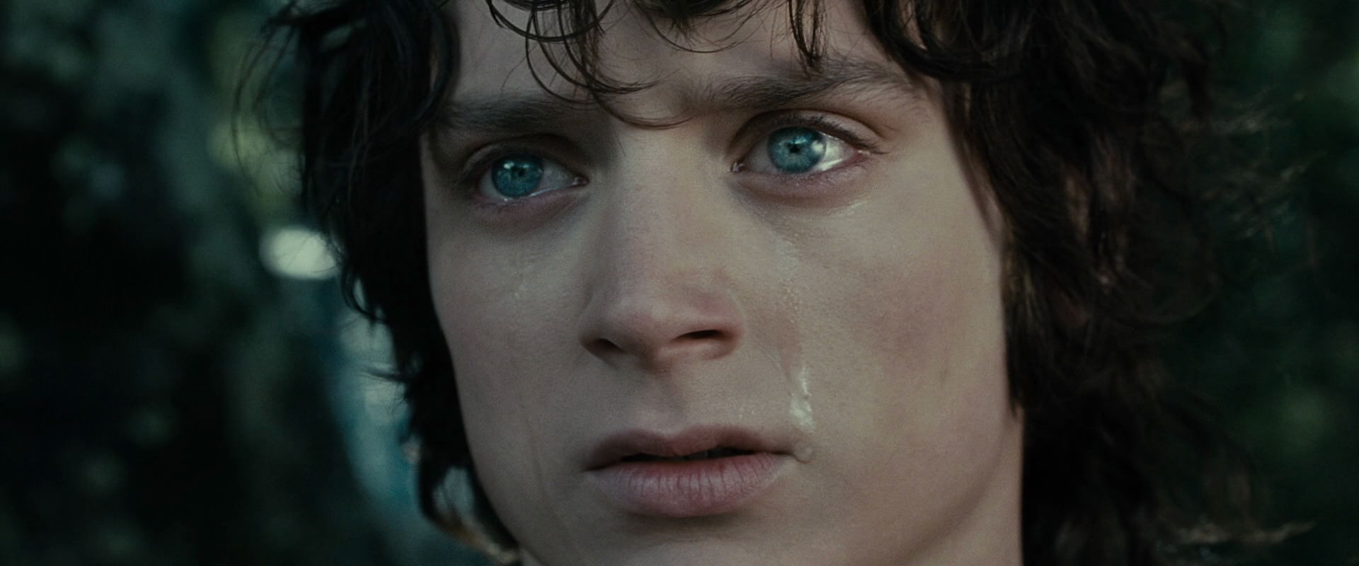 The Lord of the Rings: The Fellowship of the Ring (2001) screencap 23211