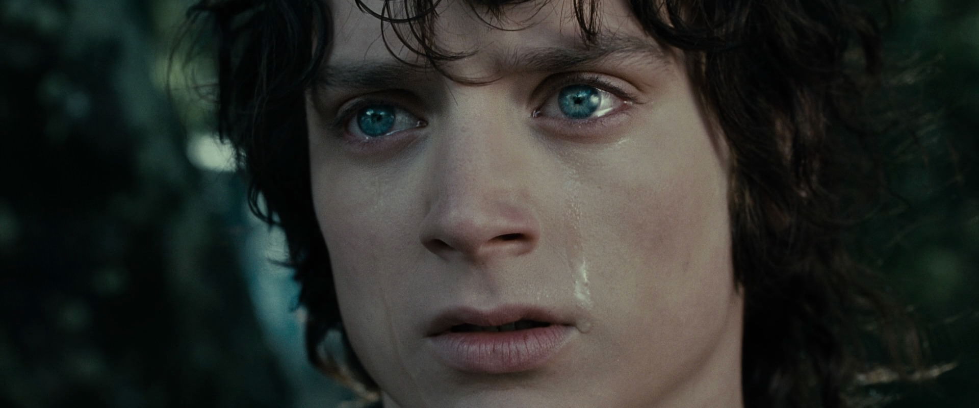The Lord of the Rings: The Fellowship of the Ring (2001) movie still 23212