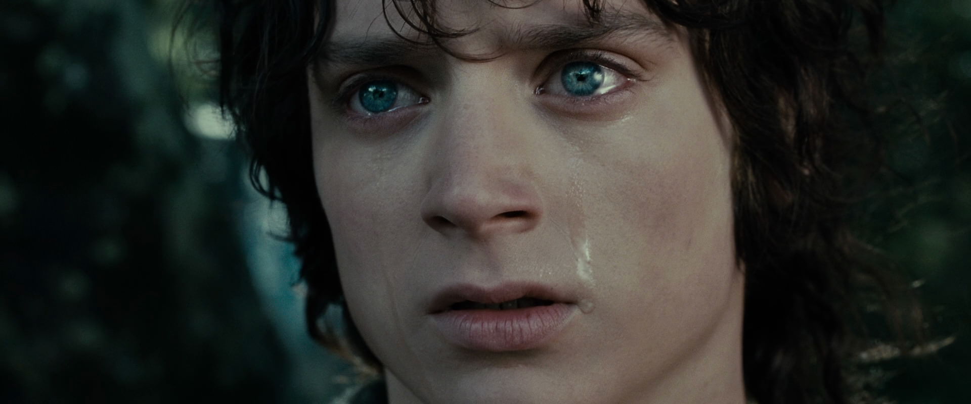 The Lord of the Rings: The Fellowship of the Ring (2001) HD screenshot 23213