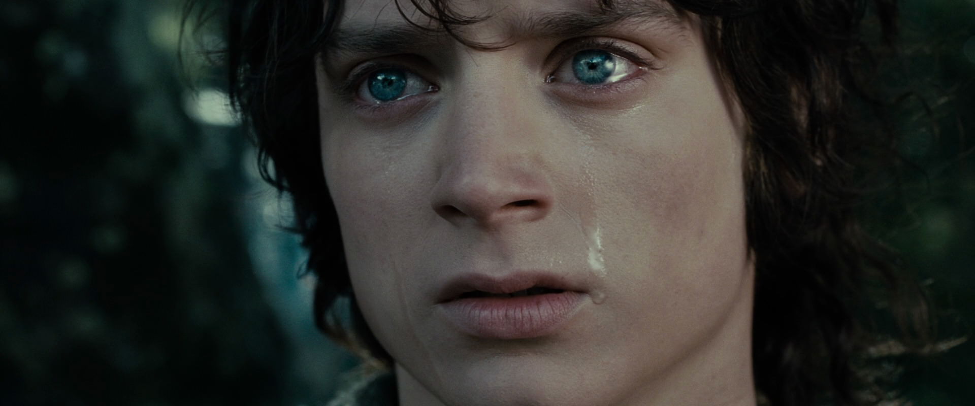 The Lord of the Rings: The Fellowship of the Ring (2001) screencap 23214