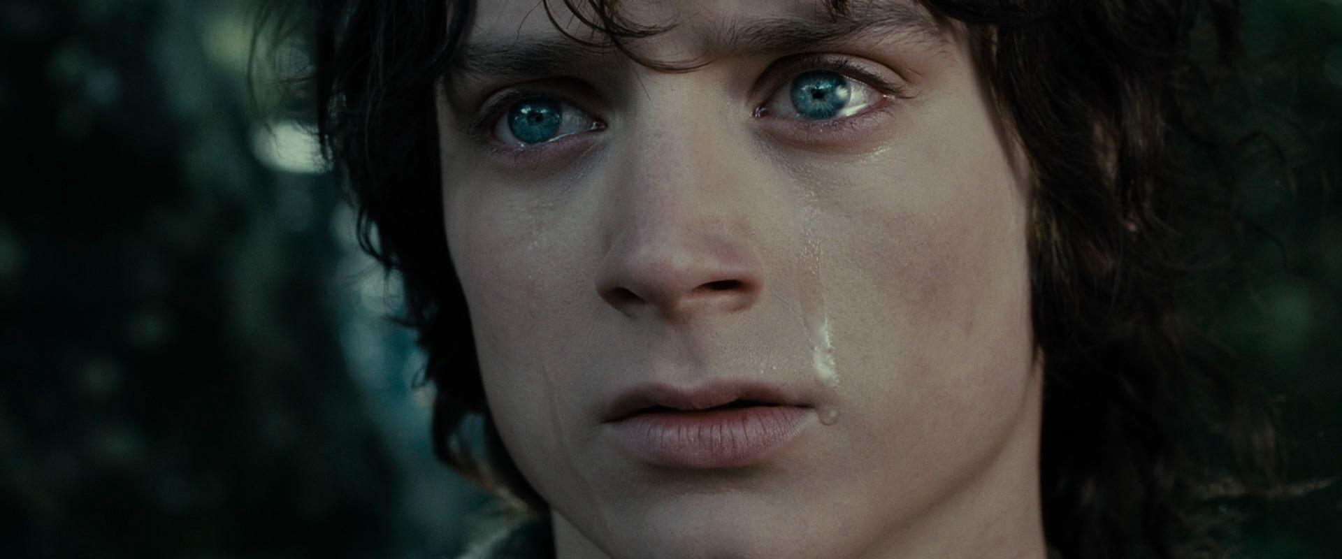 The Lord of the Rings: The Fellowship of the Ring (2001) movie still 23215