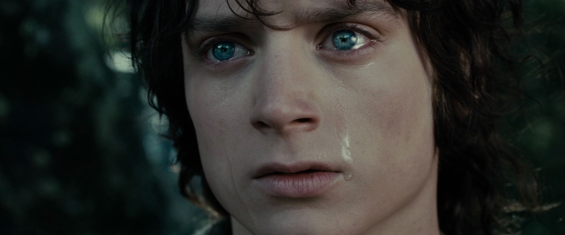 The Lord of the Rings: The Fellowship of the Ring (2001) HD screenshot 23216