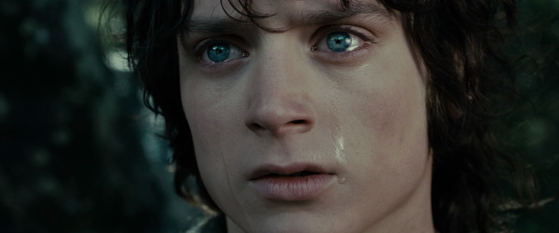 The Lord of the Rings: The Fellowship of the Ring (2001) screencap 23217