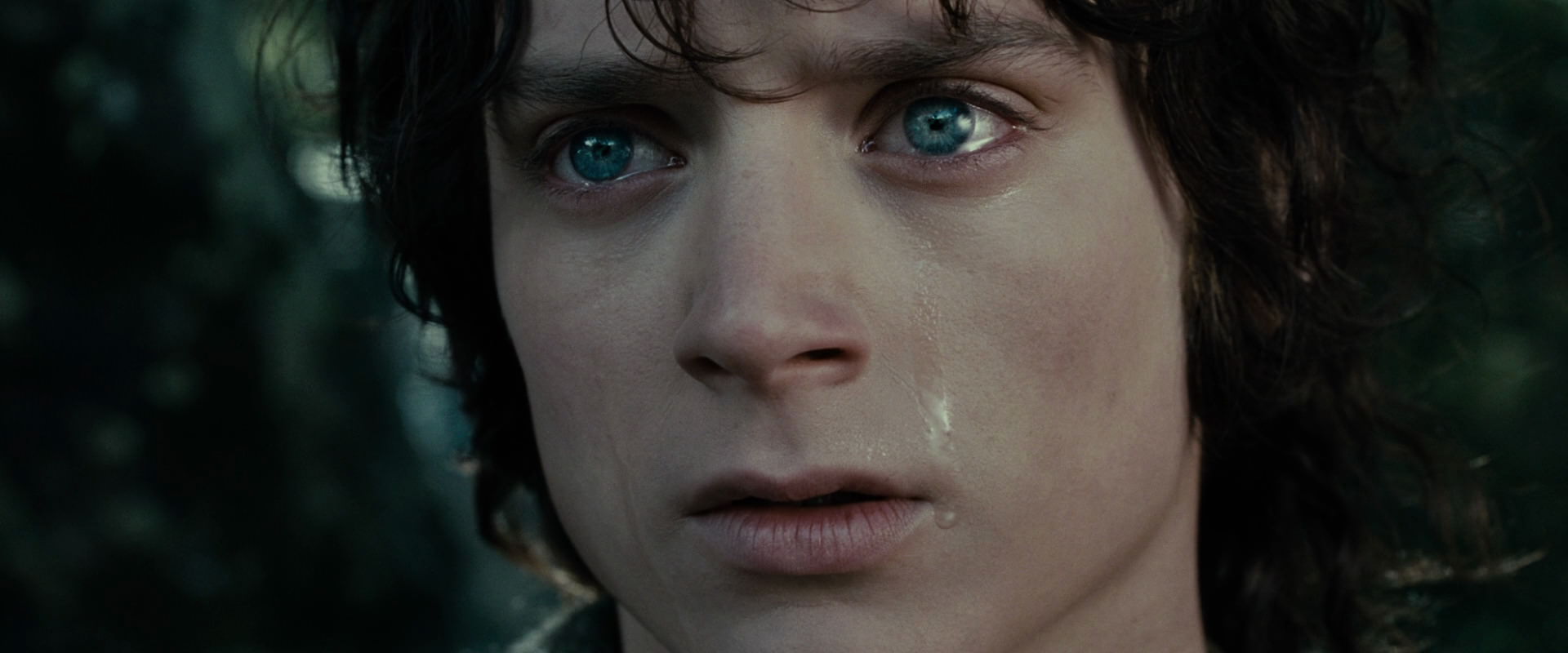 The Lord of the Rings: The Fellowship of the Ring (2001) movie still 23218