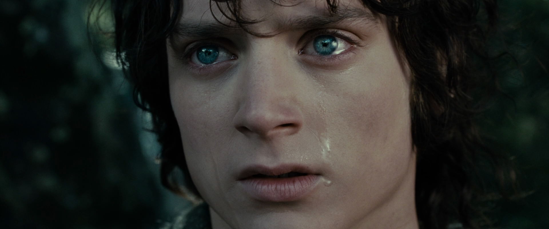 The Lord of the Rings: The Fellowship of the Ring (2001) screencap 23220