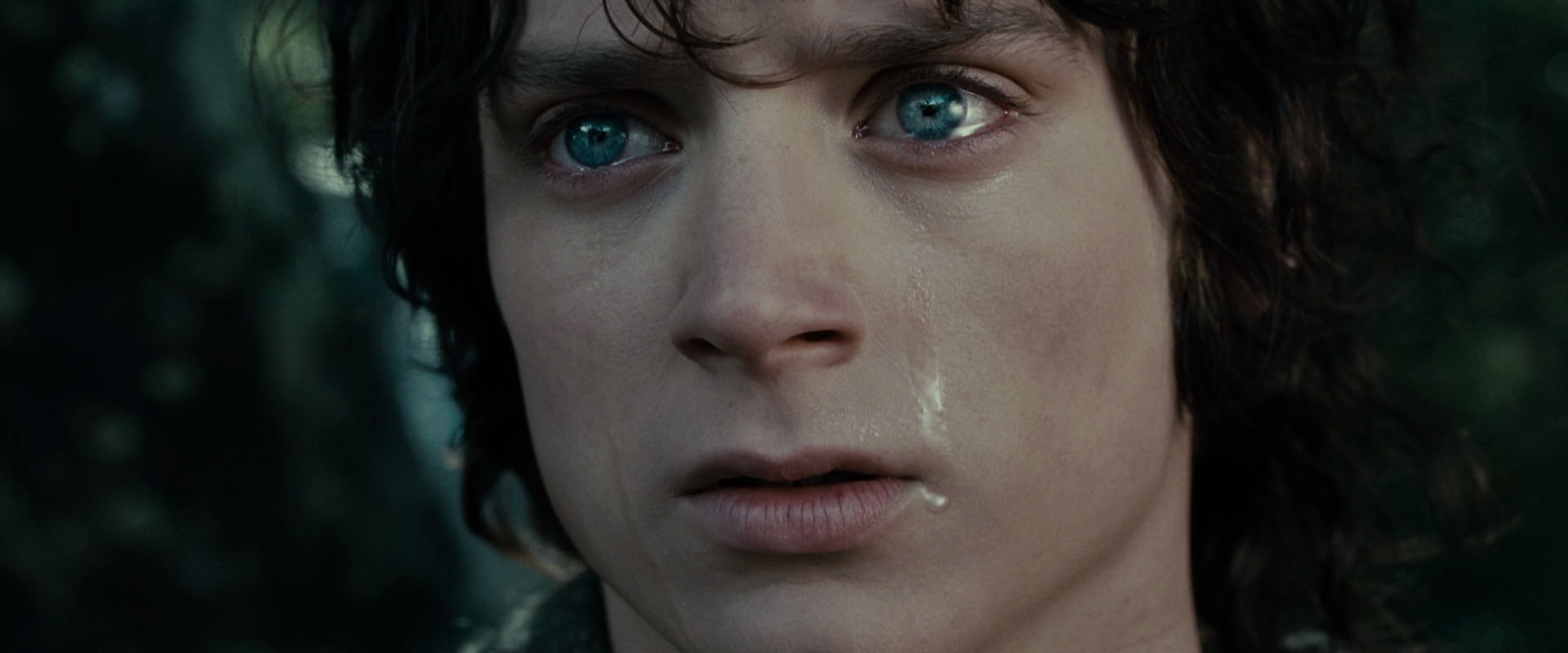 The Lord of the Rings: The Fellowship of the Ring (2001) movie still 23221