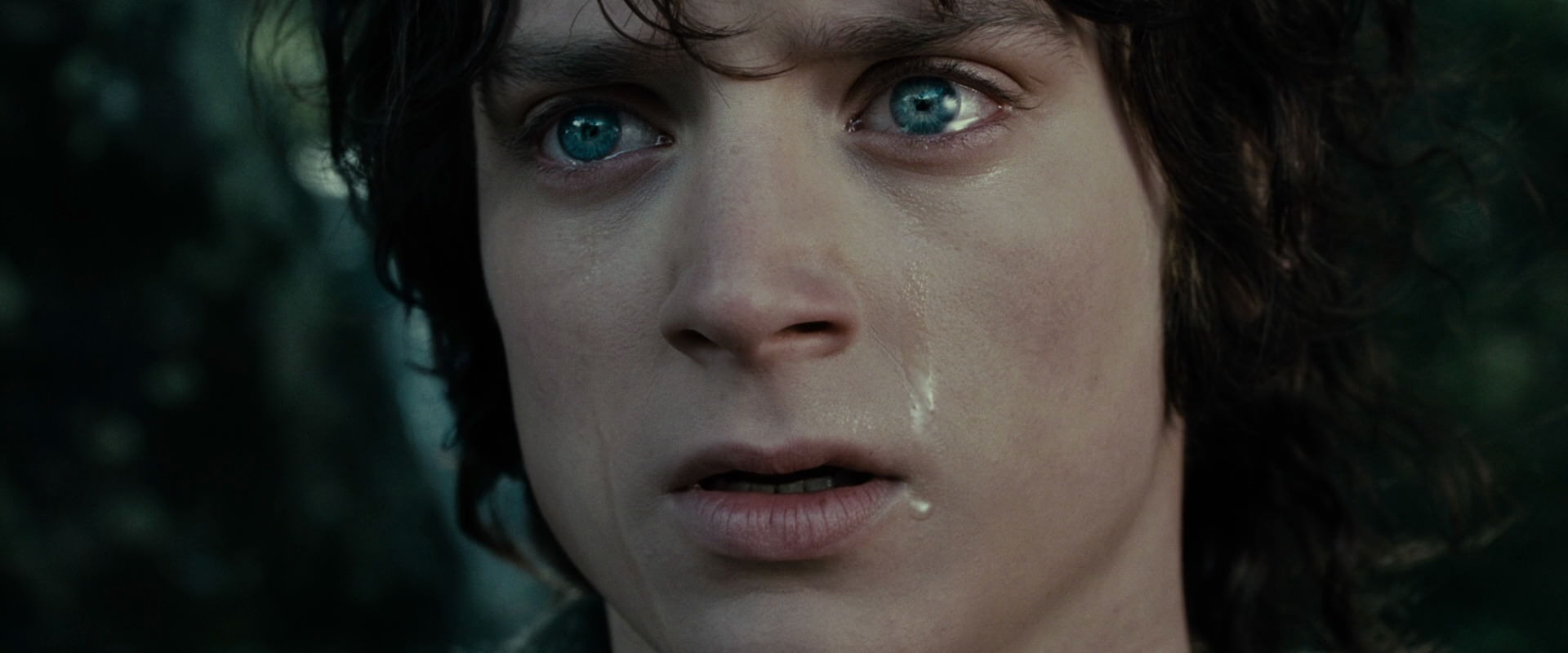 The Lord of the Rings: The Fellowship of the Ring (2001) HD screenshot 23222