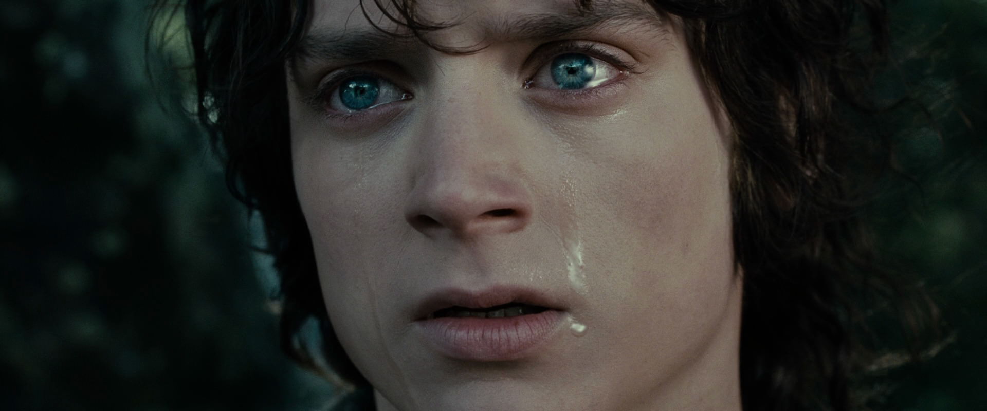 The Lord of the Rings: The Fellowship of the Ring (2001) screencap 23223