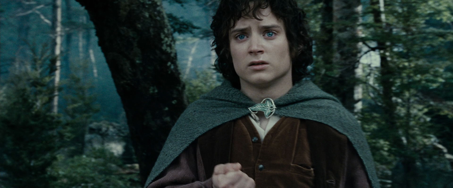 The Lord of the Rings: The Fellowship of the Ring (2001) HD screenshot 23225