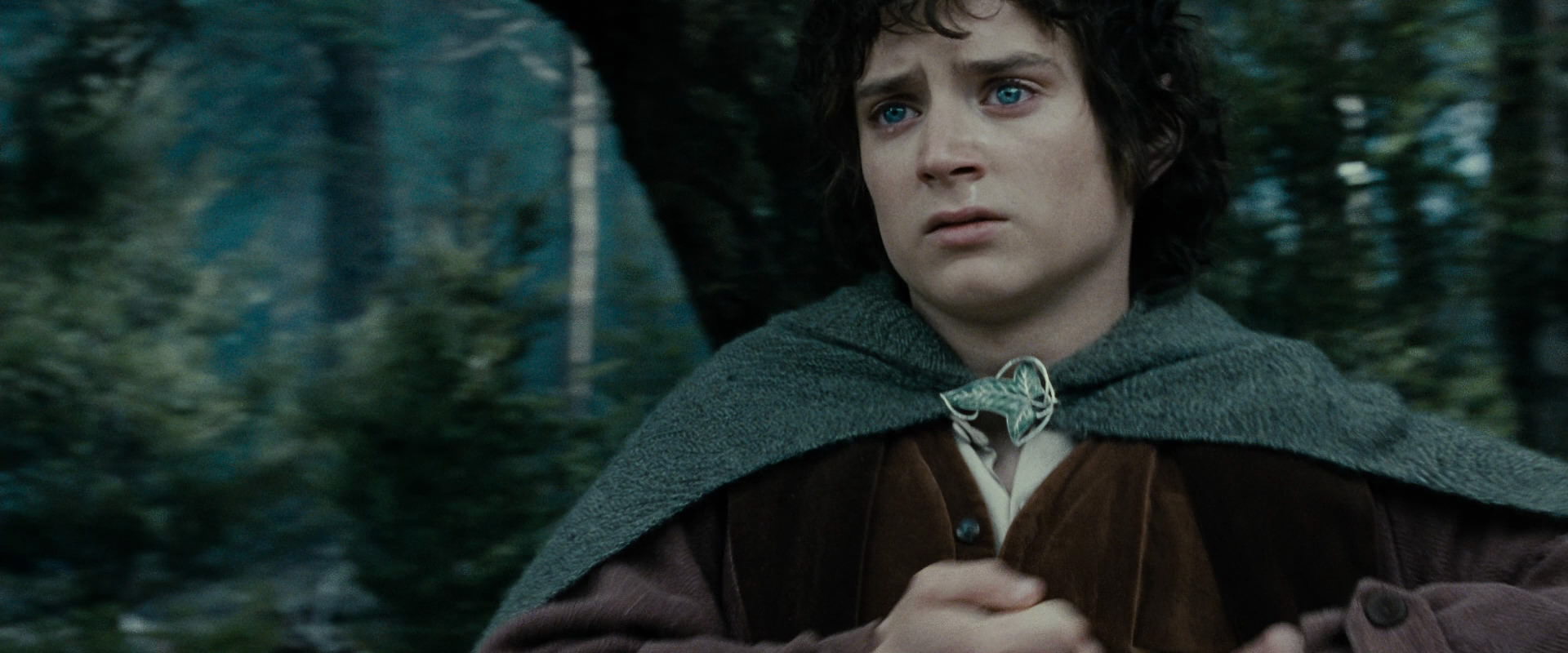 The Lord of the Rings: The Fellowship of the Ring (2001) screencap 23226