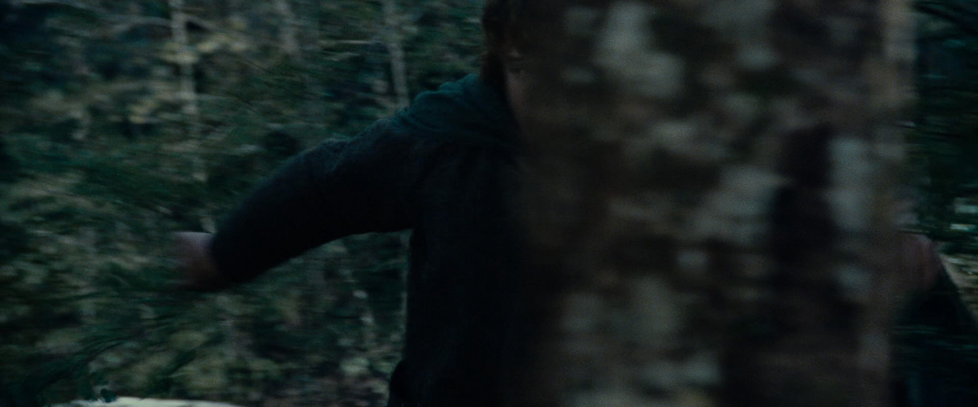 The Lord of the Rings: The Fellowship of the Ring (2001) HD screenshot 23243