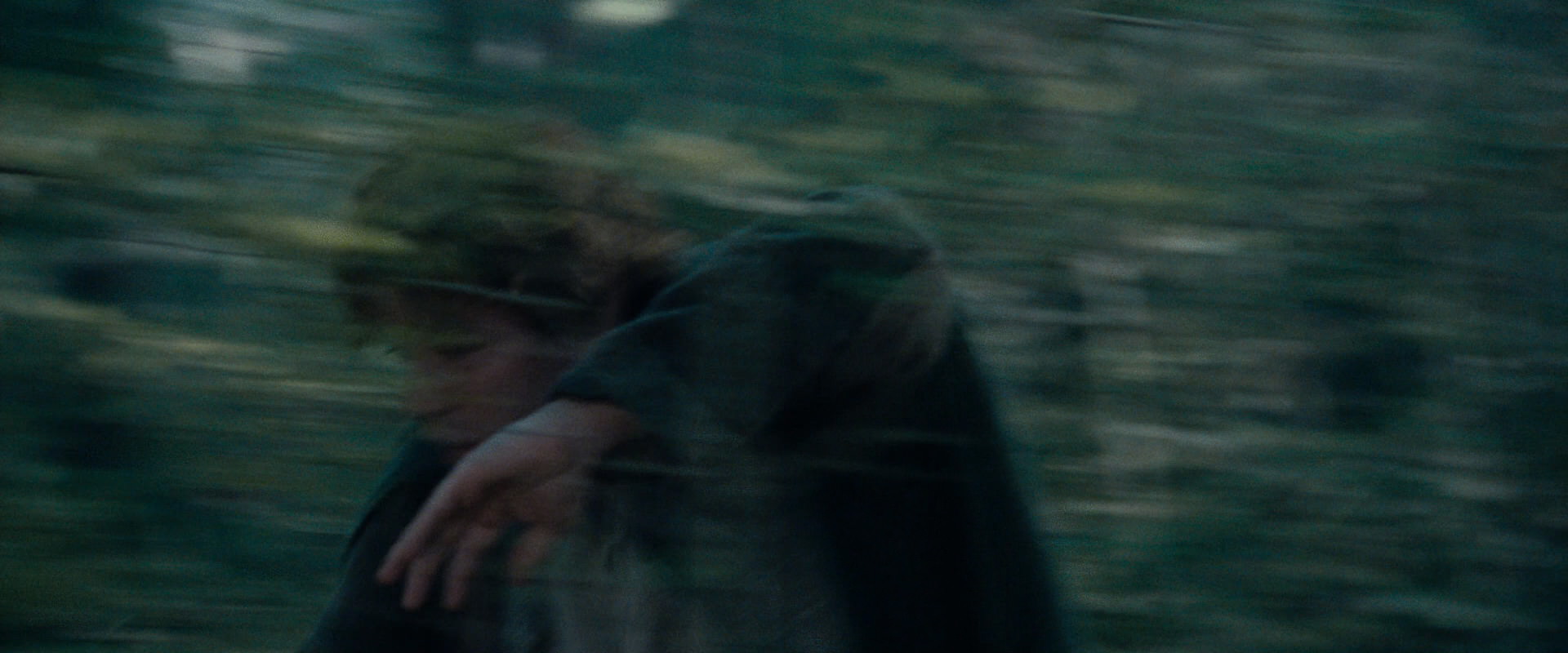 The Lord of the Rings: The Fellowship of the Ring (2001) screencap 23244