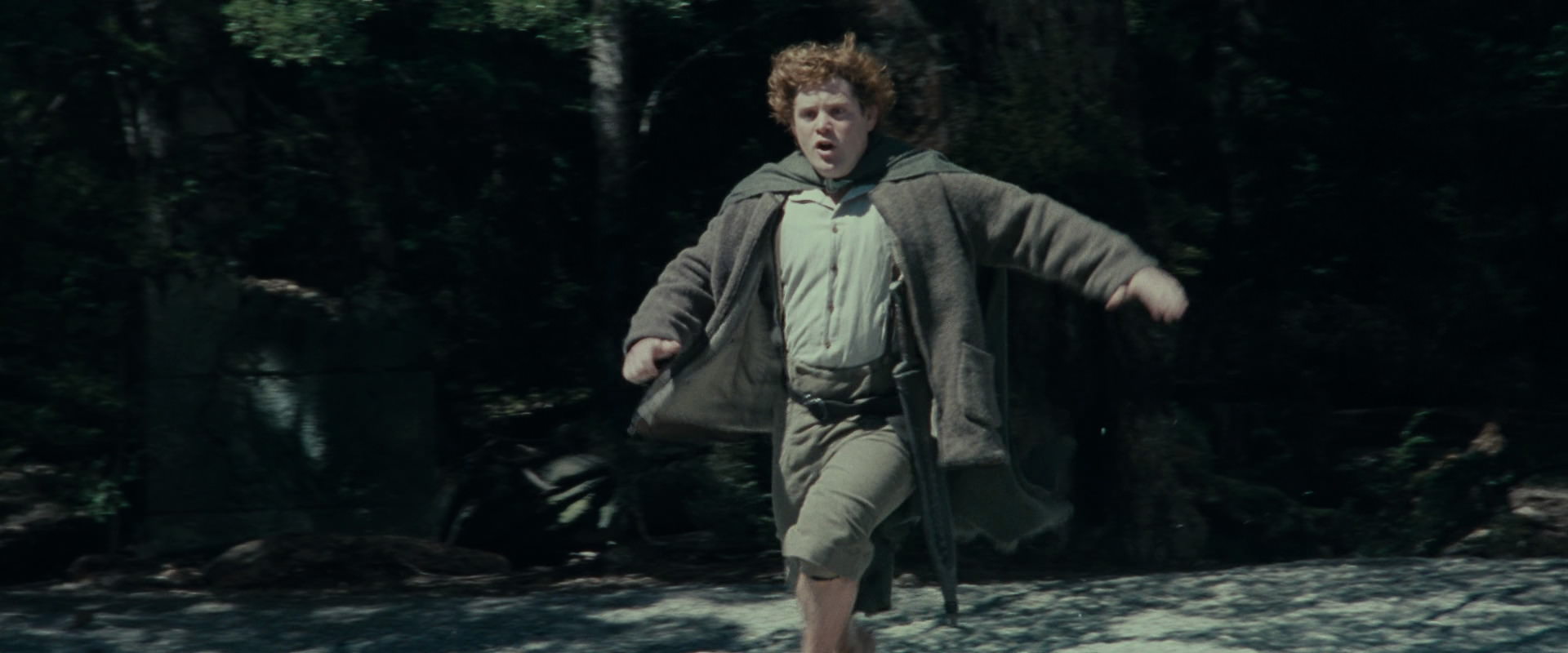 The Lord of the Rings: The Fellowship of the Ring (2001) HD screenshot 23252