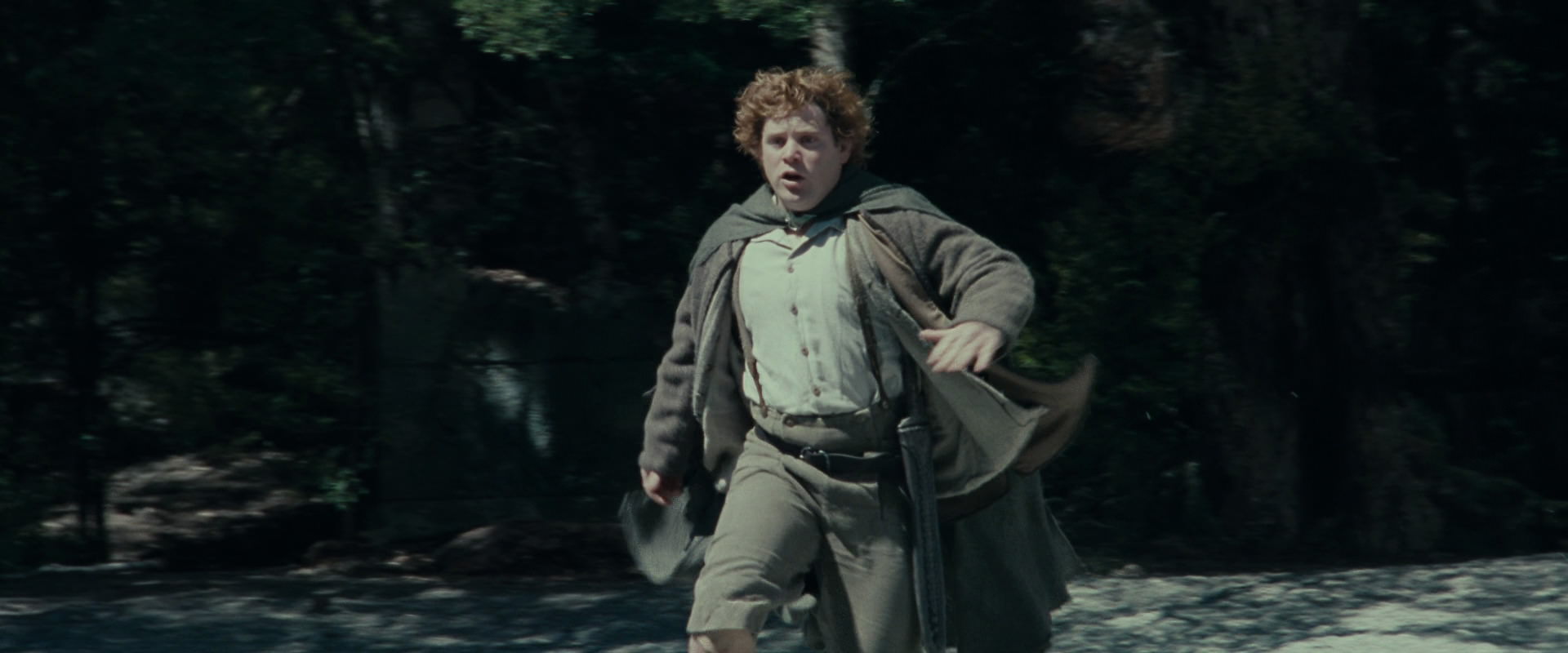 The Lord of the Rings: The Fellowship of the Ring (2001) screencap 23253