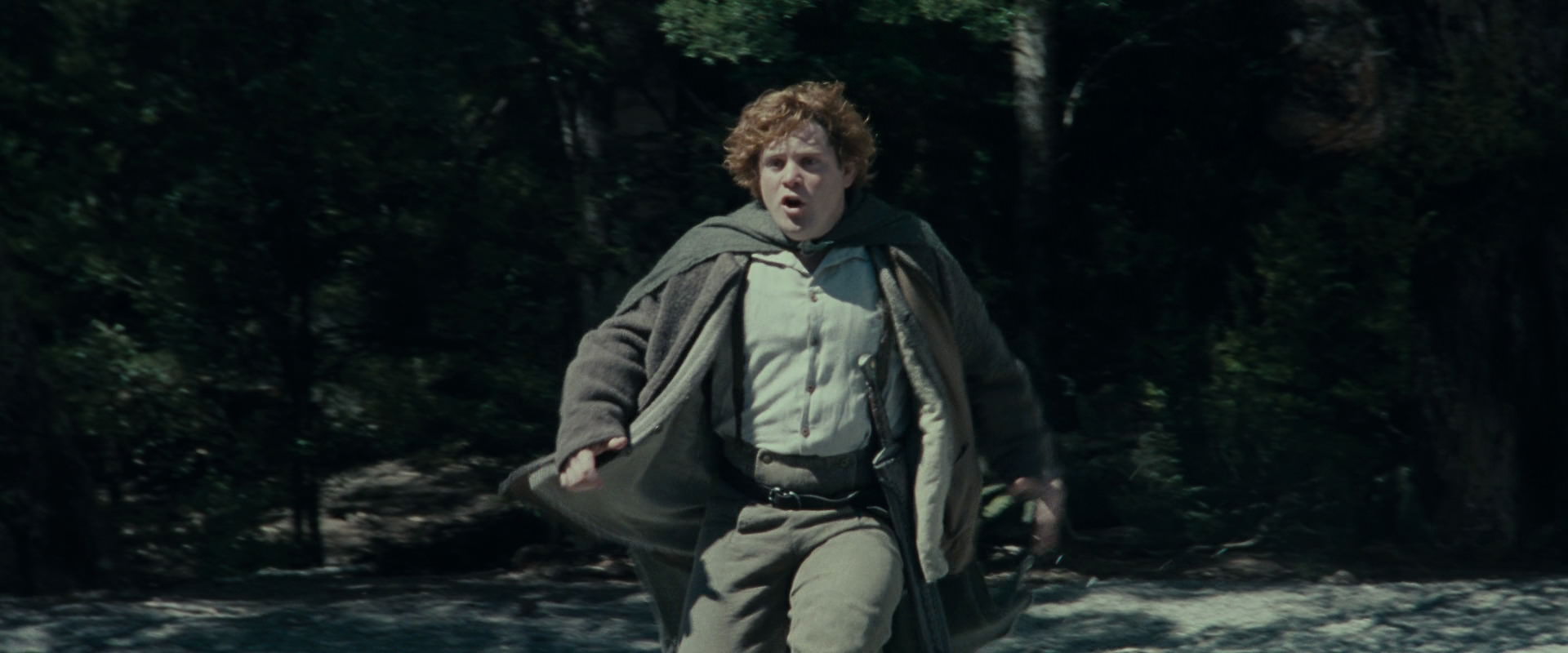 The Lord of the Rings: The Fellowship of the Ring (2001) movie still 23254