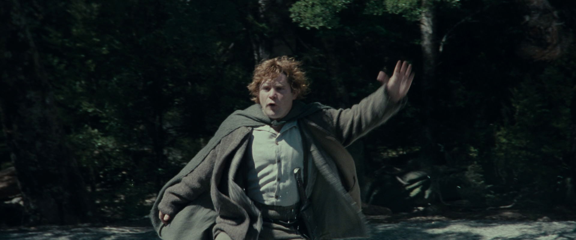 The Lord of the Rings: The Fellowship of the Ring (2001) HD screenshot 23255