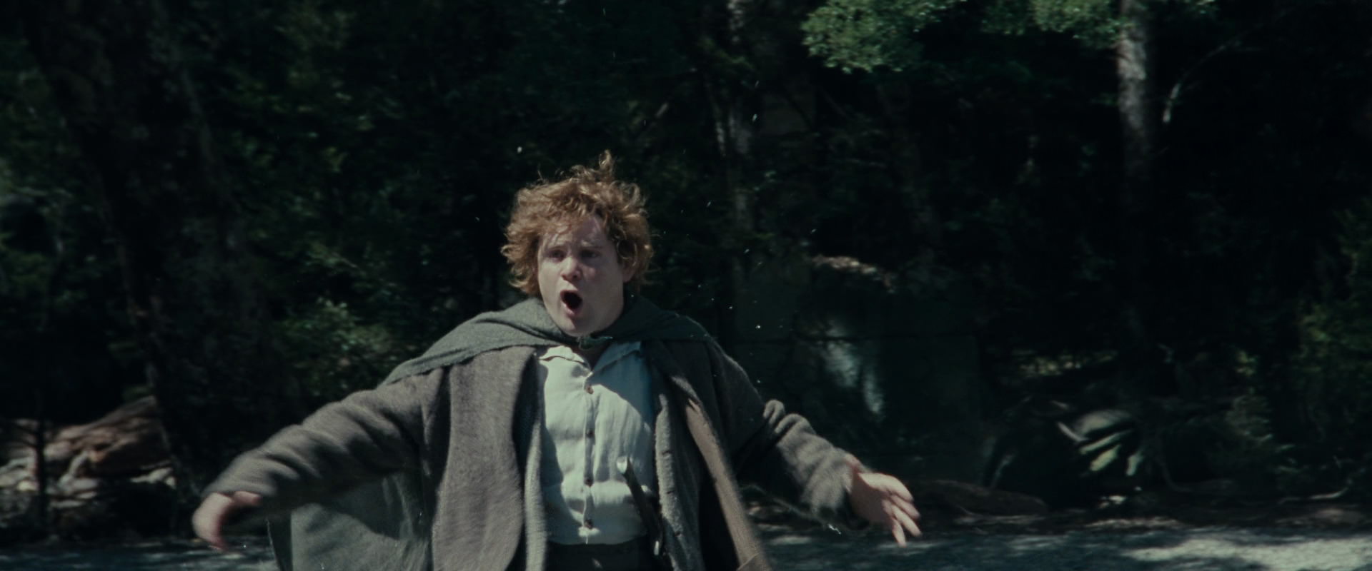 The Lord of the Rings: The Fellowship of the Ring (2001) screencap 23256