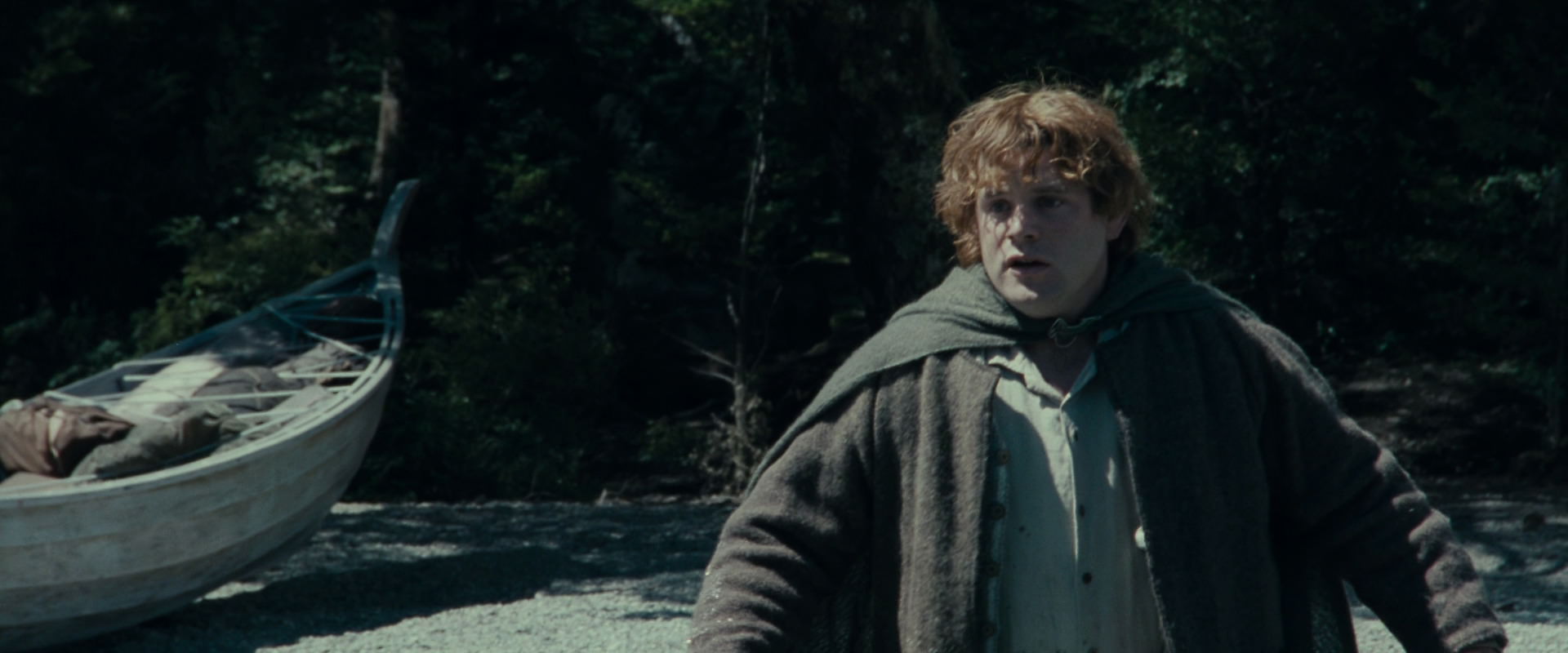 The Lord of the Rings: The Fellowship of the Ring (2001) HD screenshot 23267