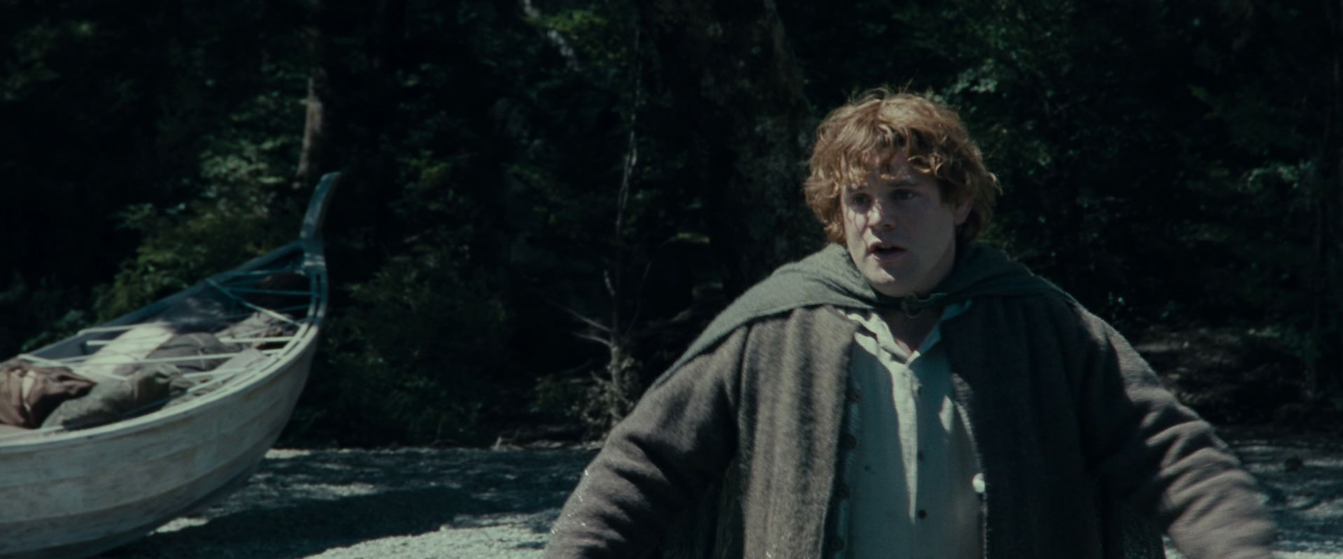 The Lord of the Rings: The Fellowship of the Ring (2001) screencap 23268