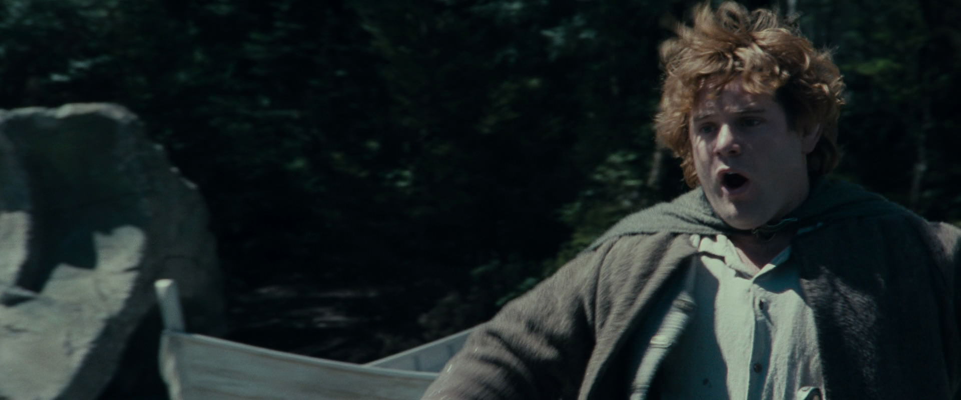 The Lord of the Rings: The Fellowship of the Ring (2001) movie still 23281