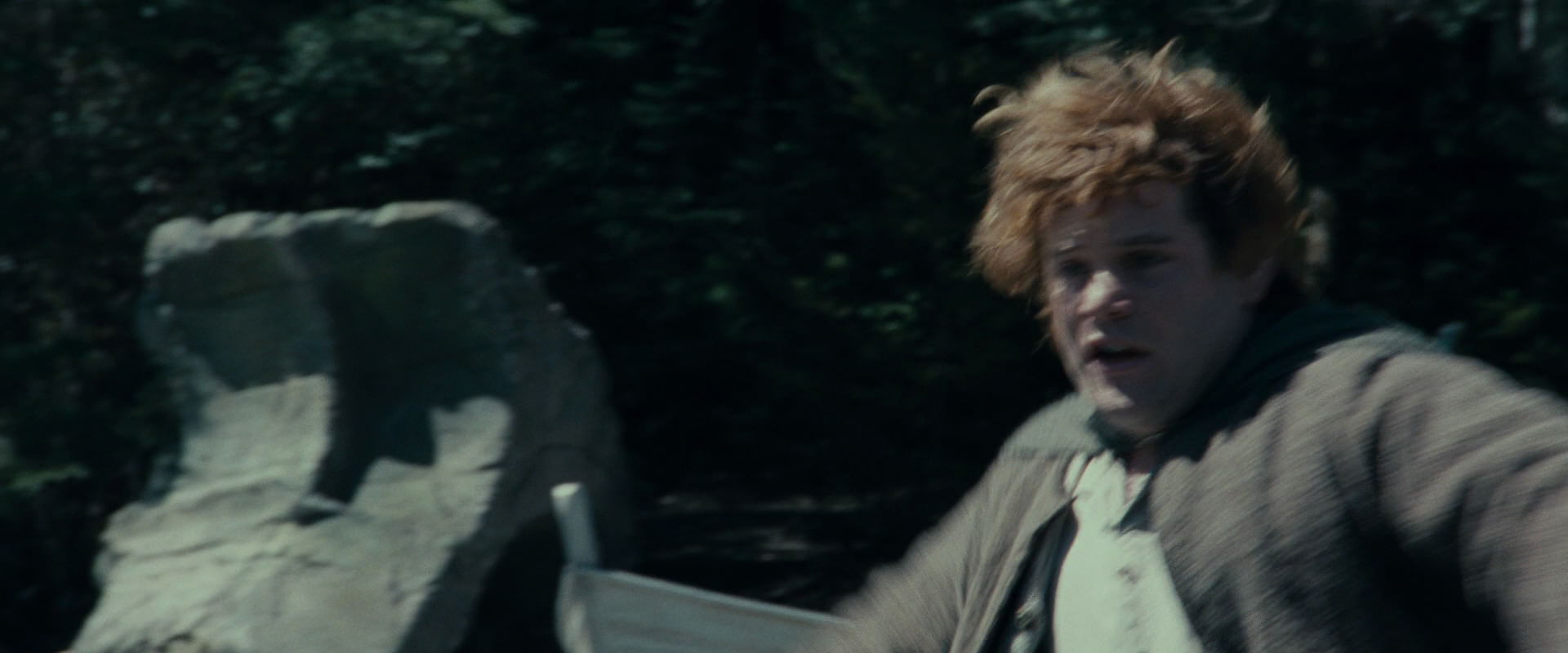 The Lord of the Rings: The Fellowship of the Ring (2001) HD screenshot 23282