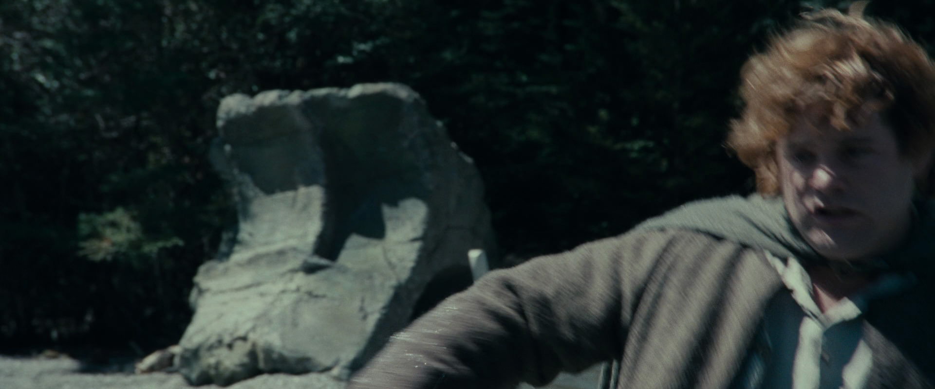 The Lord of the Rings: The Fellowship of the Ring (2001) screencap 23283