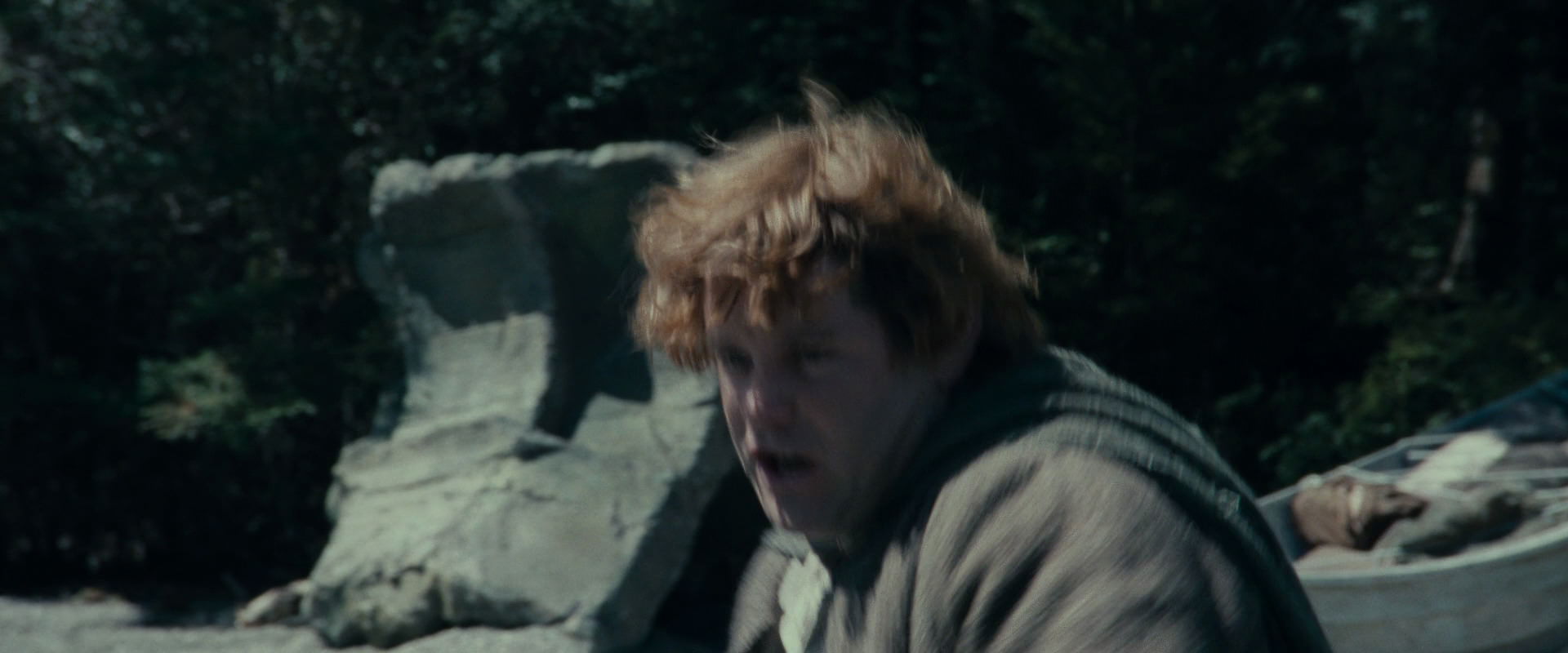 The Lord of the Rings: The Fellowship of the Ring (2001) movie still 23284