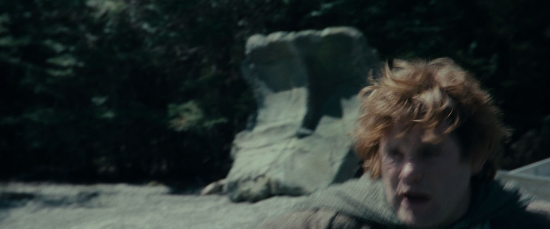 The Lord of the Rings: The Fellowship of the Ring (2001) HD screenshot 23285
