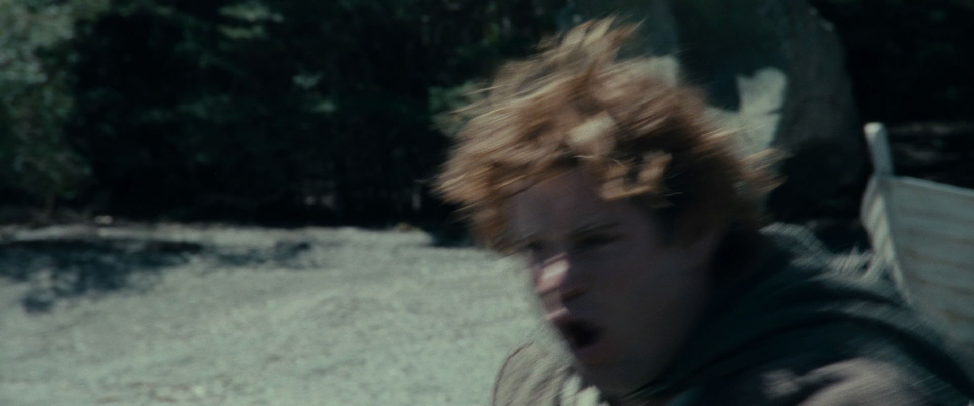 The Lord of the Rings: The Fellowship of the Ring (2001) screencap 23286